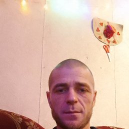 ���� �����, ���������, 41 ��� - ��������� 3 ������ 2024