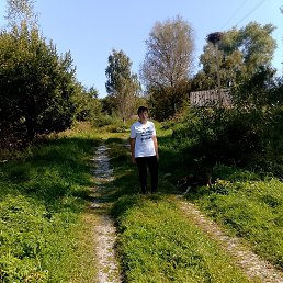 ���� ������� �����, ������, 40 ��� - ��������� 24 ������ 2026