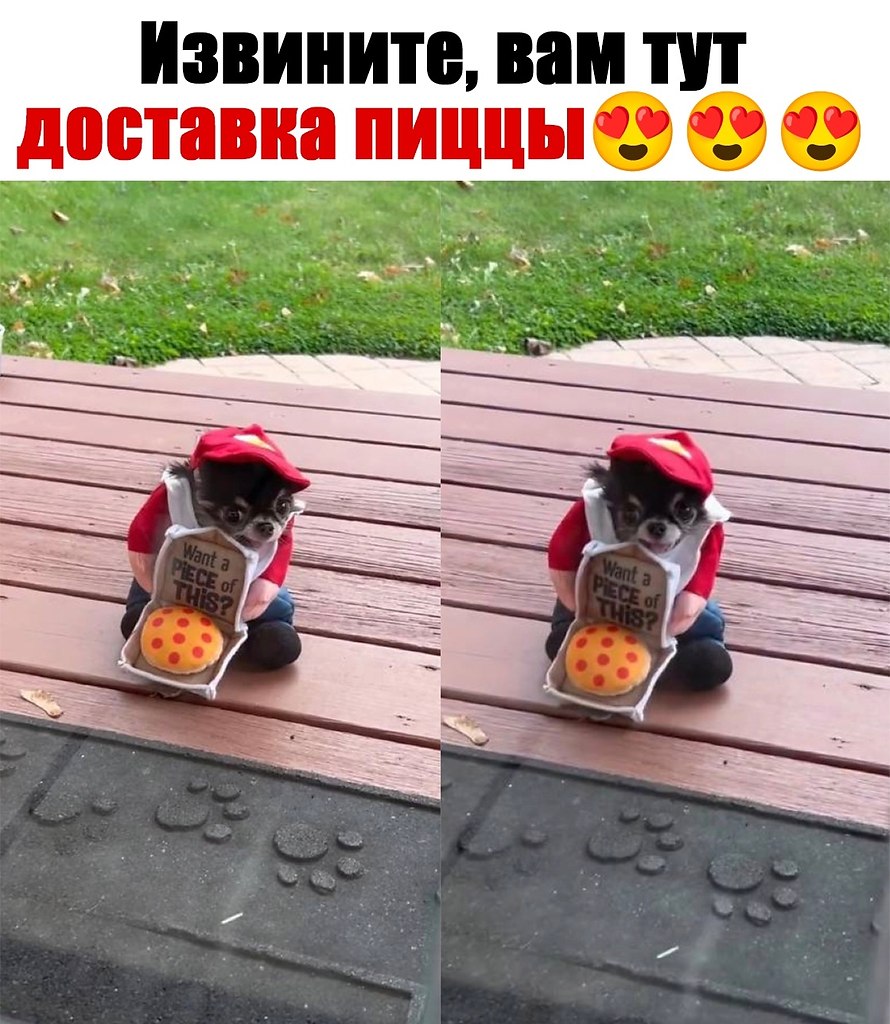  - 6  2024  03:15