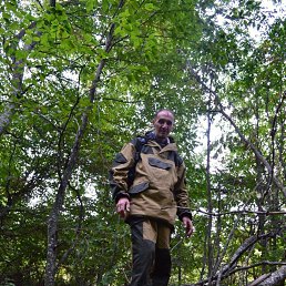 ����, 53 ����, ���������