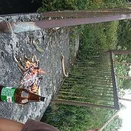 ������, �����, 33 ����