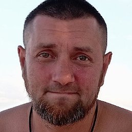 ������, ������, 41 ���