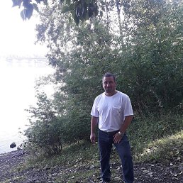 ������, ��������, 40 ���