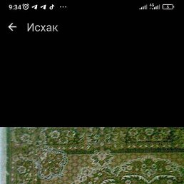 �����, ������, 38 ���