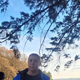 ��������, 41 ���, ����������