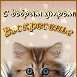 ���������, ���������, 34 ����