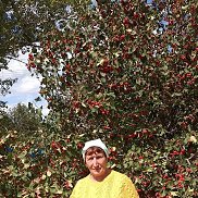 �����, 65 ���, ������