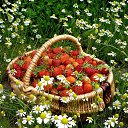 ���� �����, ����� - ��������� 26 ��� 2024 � ������ ������ ��������