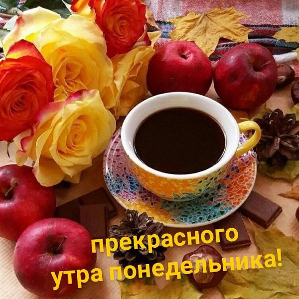   - 16  2024  13:31