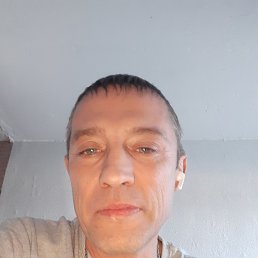 , 55 , -