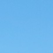 ���������, 36 ���, ������