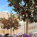 ���� ������, �����-���������, 48 ��� - ��������� 4 ���� 2025