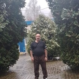 ����, 64 ����, ������