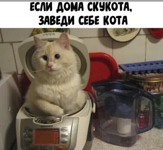 ☆ ☆ - 19  2024  18:21
