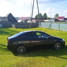 ����, �����, 41 ���