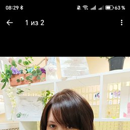 �����, 33 ����, ��������