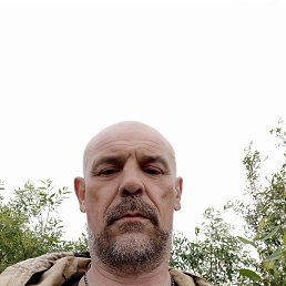 , 55 , 
