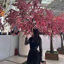 ���� �����, ������, 20 ��� - ��������� 3 ������ 2026 � ������ ���� ����������