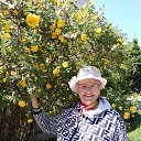  , , 74  -  25  2025     , 2025