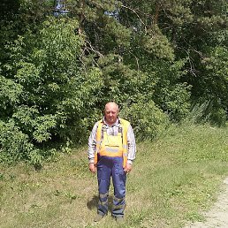 �����, �������, 46 ���