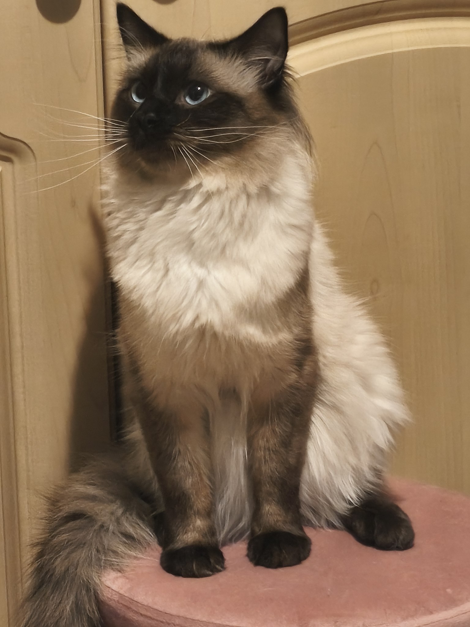 Tina* - 23  2025  01:55