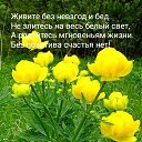 ���� ������, ������ - ��������� 25 ������ 2026 � ������ ������ ��������
