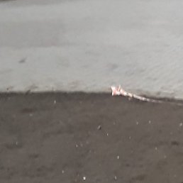 ������, ������, 63 ����