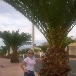 ���� �������, ������, 44 ���� - ��������� 13 ������� 2025