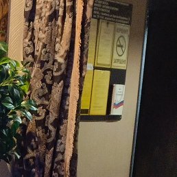 �������, ���������, 54 ����