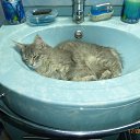 ���� �������, ������, 55 ��� - ��������� 18 ������� 2024 � ������ ������ ��������