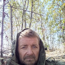 , 45, 