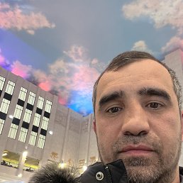 ���� Rokki, ��������, 40 ��� - ��������� 3 ��� 2024