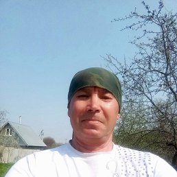 ��������, 59 ���, ���������