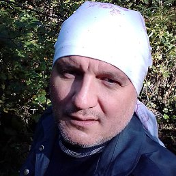 ���������, ���������, 50 ���