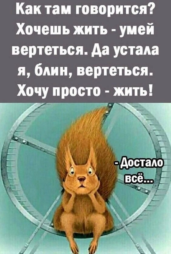  - 16  2025  11:23