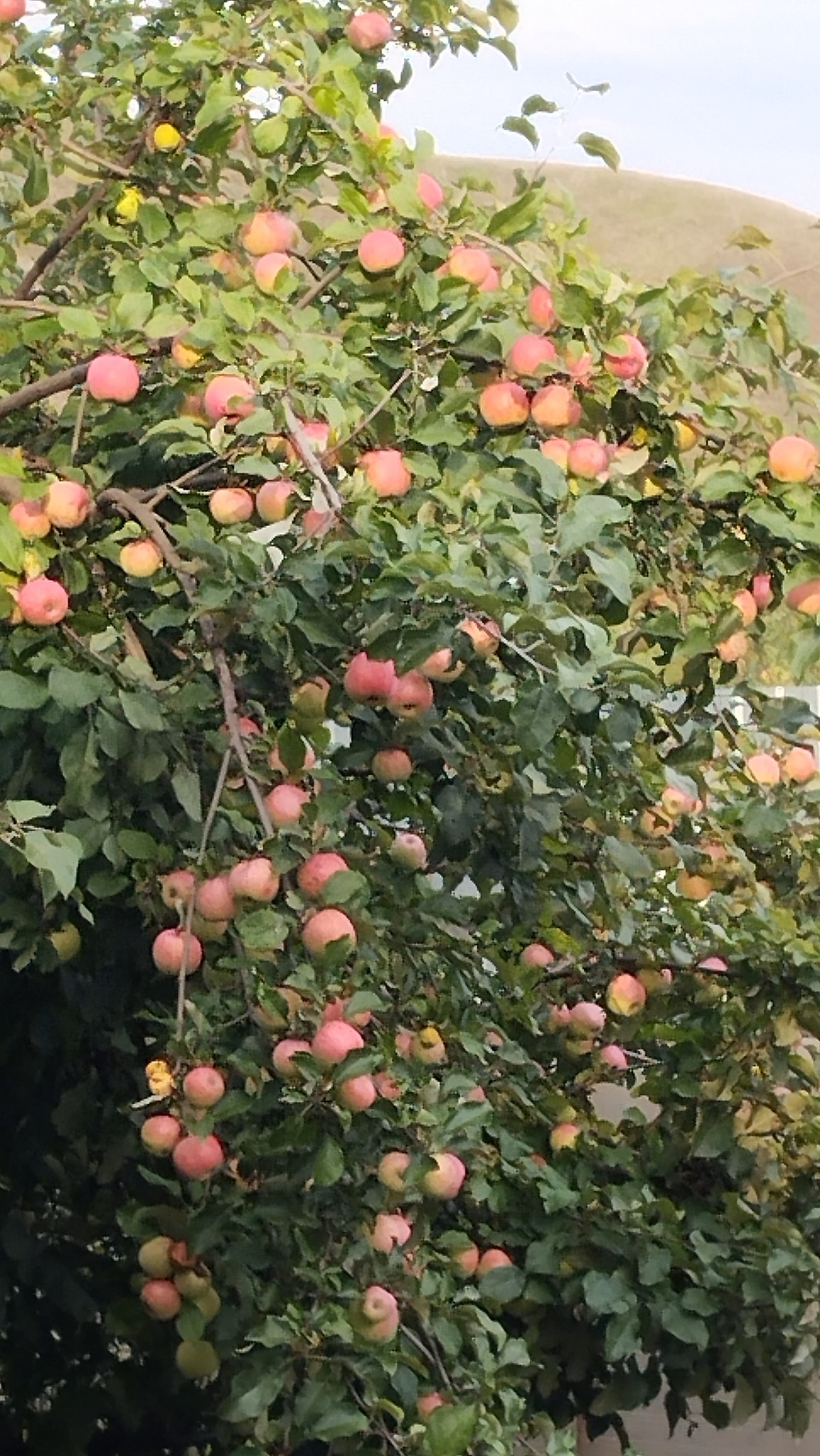  - 18  2025  20:39 - 2