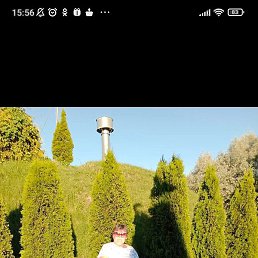 ������, �������, 62 ����