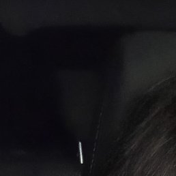 �����, ������, 43 ����