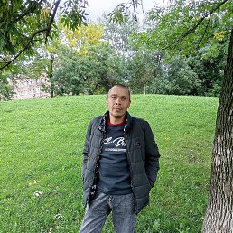 , 43 , -