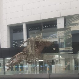 ���� ����, �����-���������, 40 ��� - ��������� 1 ������ 2026