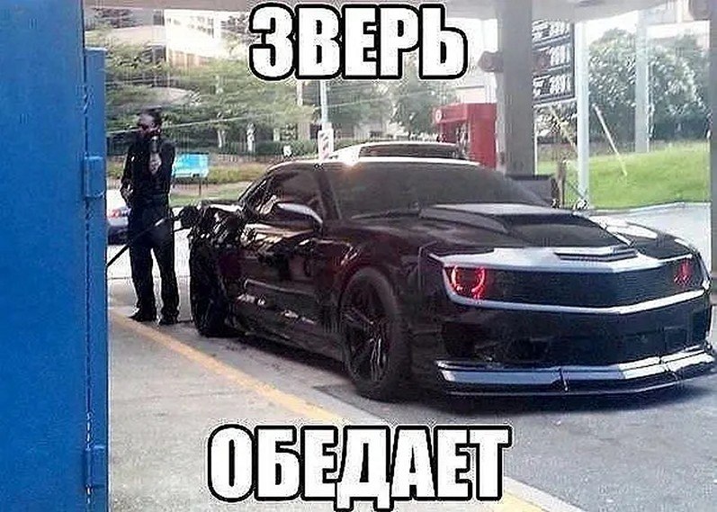�� ����� - ������������� ������ �1 - 29 ������� 2025 � 20:50