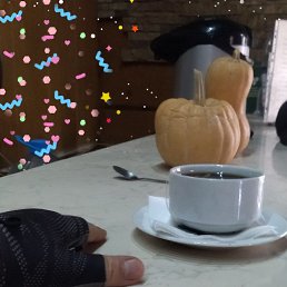 ���� ����, ������������, 46 ��� - ��������� 6 ������ 2026