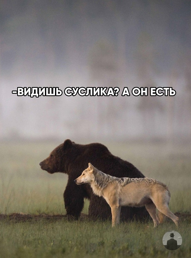 ���� � ������� � �� �����, � ������: ������� ����� ��������.� ������� ����� ���� ����� �������� ... - 5