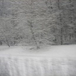 Alexander, ������, 61 ���