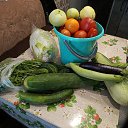 ���� ������, ������ - ��������� 29 ������� 2024 � ������ ���� ����������