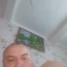 ������, 46 ���, ���