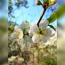  ,   -  3  2025    . -. 