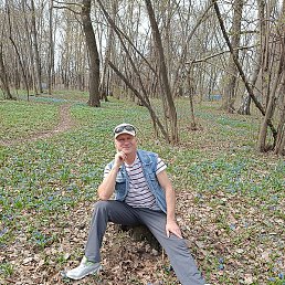 Roman, , 54 