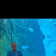 , 62 , 