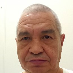, 53,  